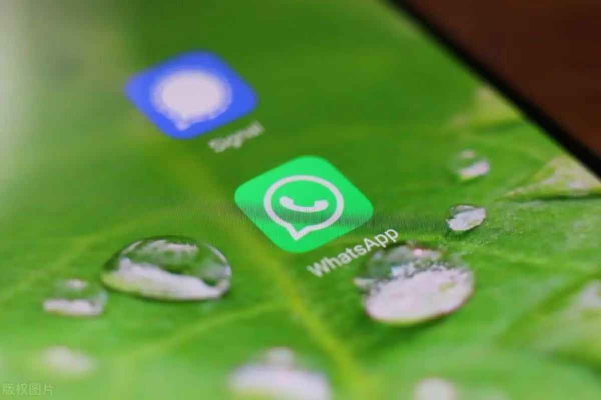 WhatsApp消息系统Windows版高效使用指南